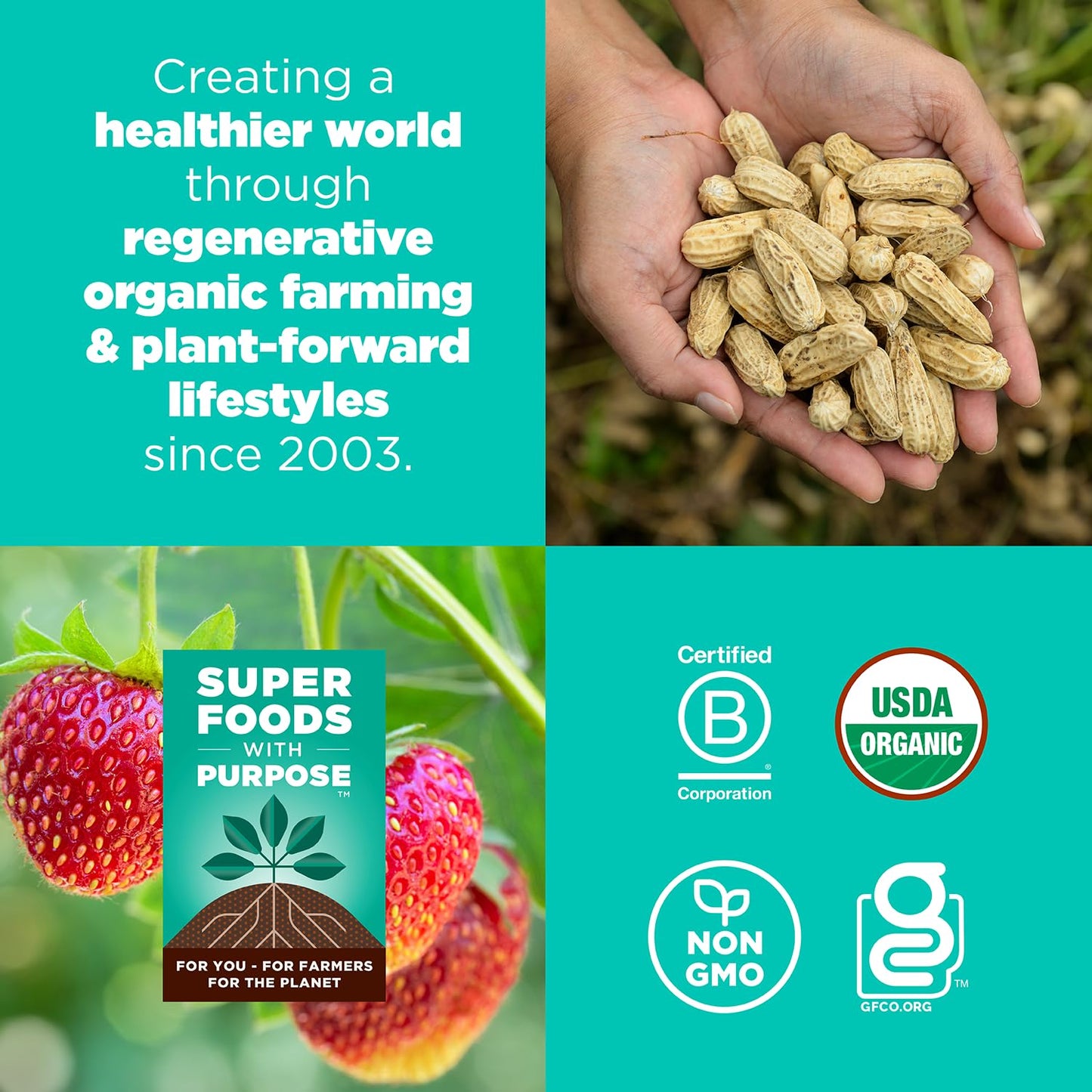 Navitas Organics Chocolate Brownie Superfood+ BITES – Power Snacks – All Natural Plant Based – Clean Energy & Nutrition – USDA Organic, Non GMO, Gluten Free, Kosher, Vegan (8oz. Bag 11 Servings)