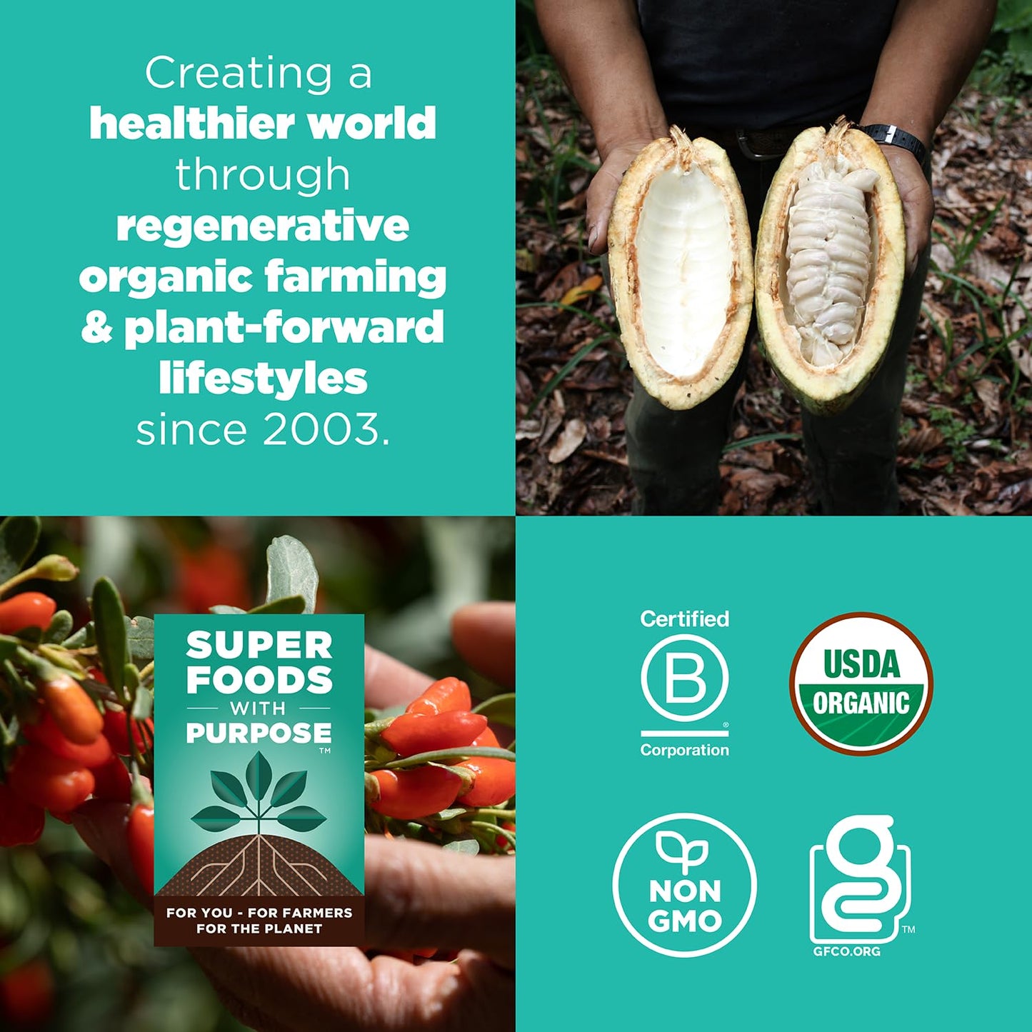 Navitas Organics Chocolate Brownie Superfood+ BITES – Power Snacks – All Natural Plant Based – Clean Energy & Nutrition – USDA Organic, Non GMO, Gluten Free, Kosher, Vegan (8oz. Bag 11 Servings)