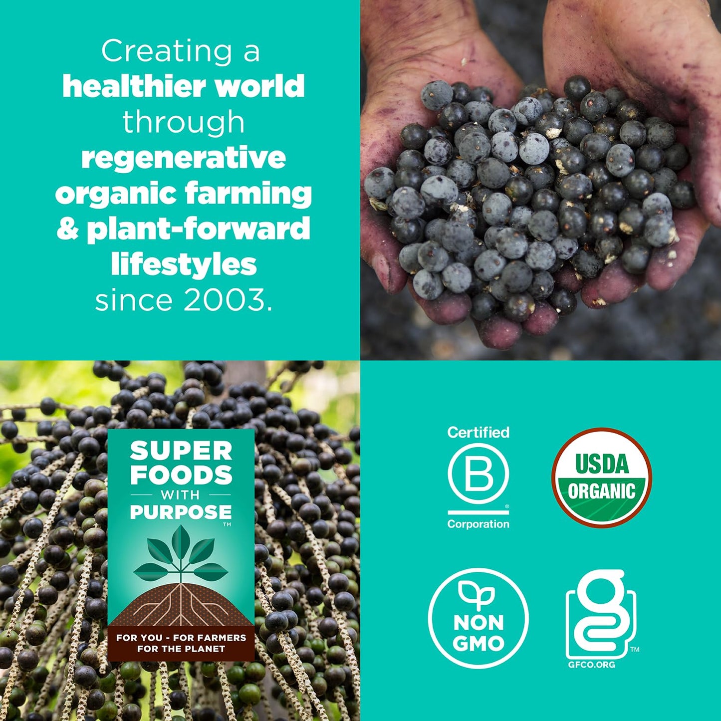 Navitas Organics Chocolate Brownie Superfood+ BITES – Power Snacks – All Natural Plant Based – Clean Energy & Nutrition – USDA Organic, Non GMO, Gluten Free, Kosher, Vegan (8oz. Bag 11 Servings)
